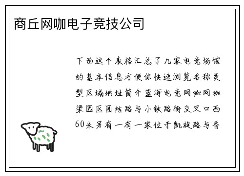 商丘网咖电子竞技公司
